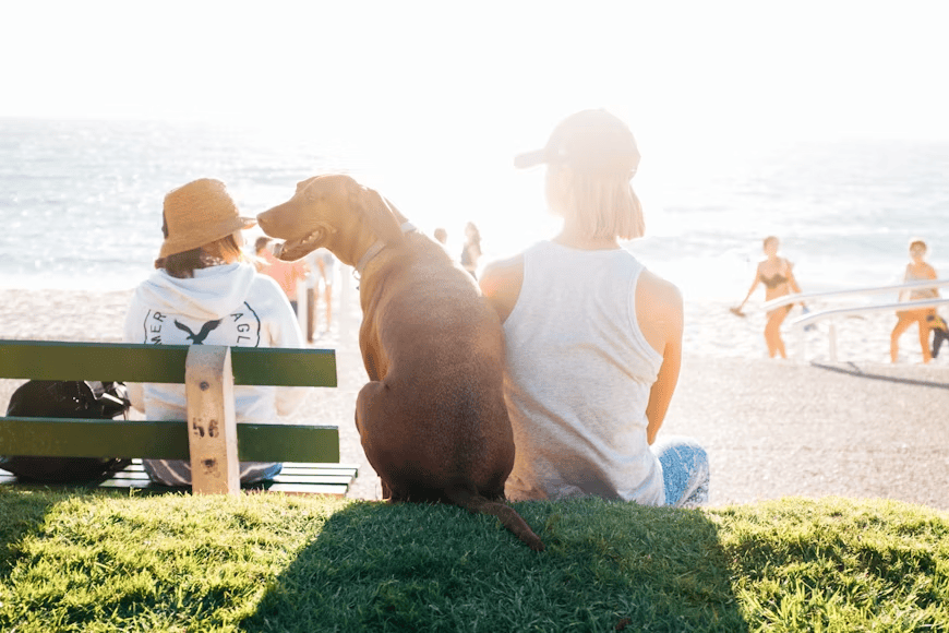 woman and dog sitting on grass looking out to beach