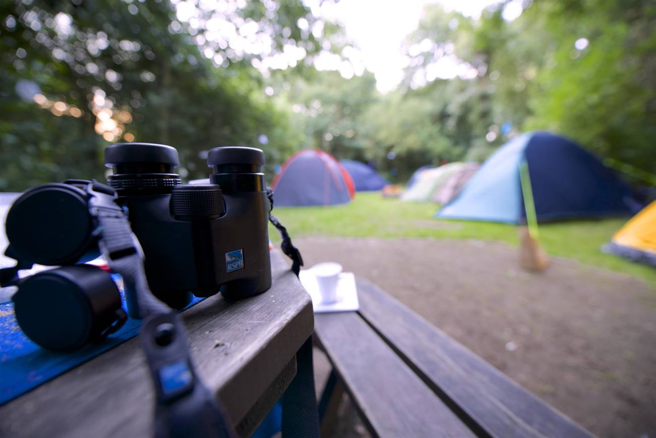 RSPB big wild sleepout