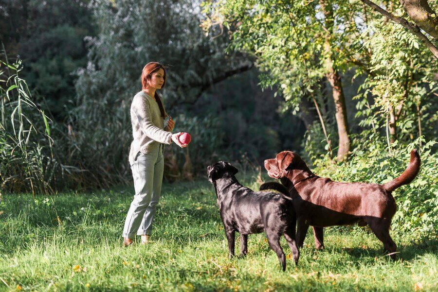 7 Ways to Turn Your Love For Pets into a Source of Income