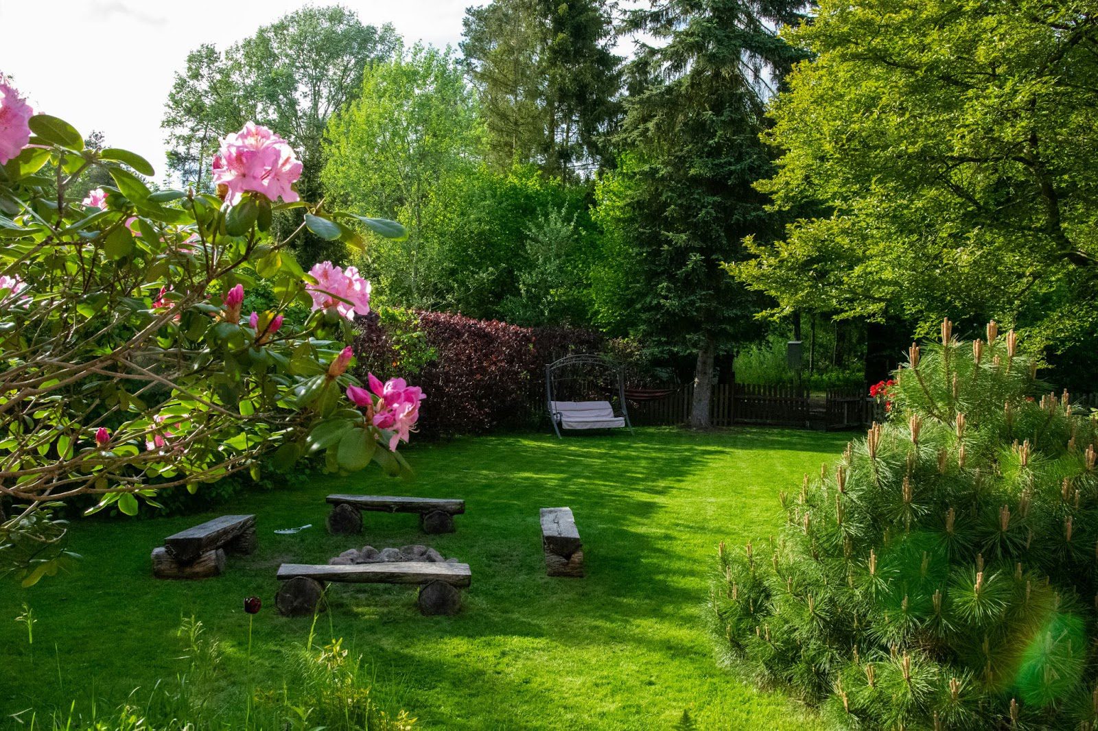 A Simple Guide to Transforming Your Garden