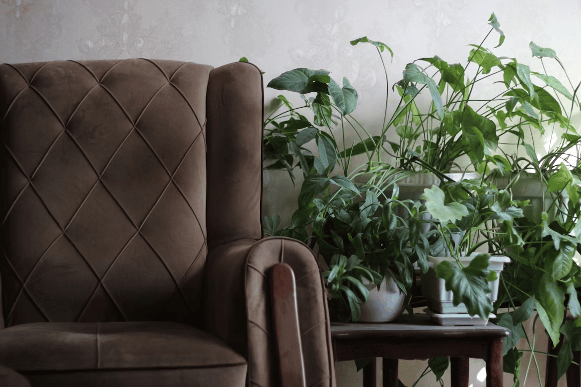 brown armchair next to table with lots of green plants on