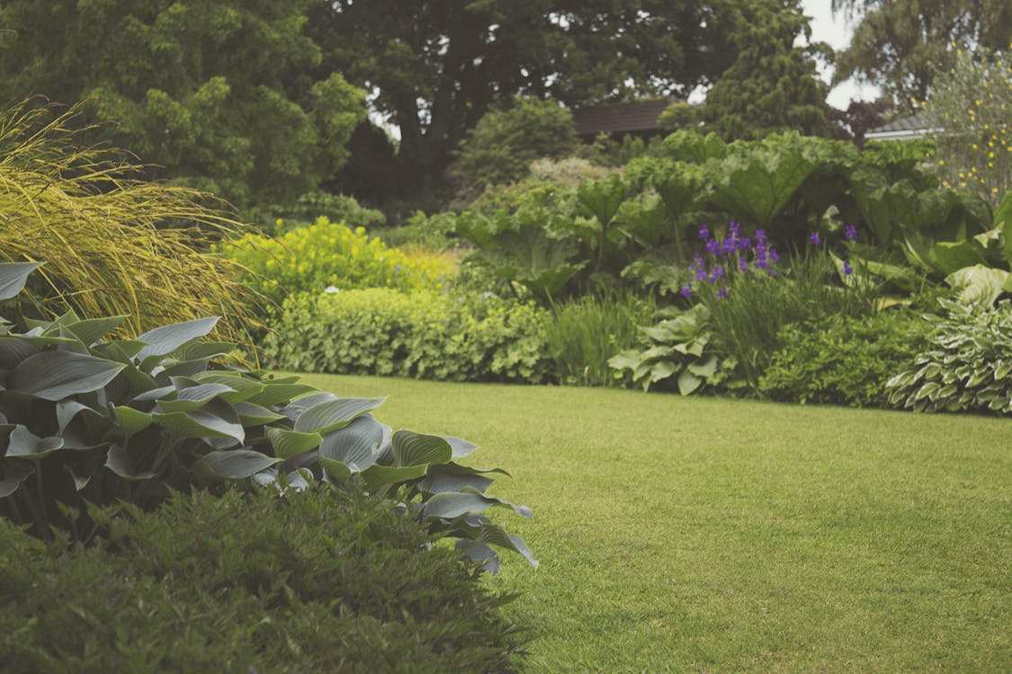 garden with green grass and borders filled with plants