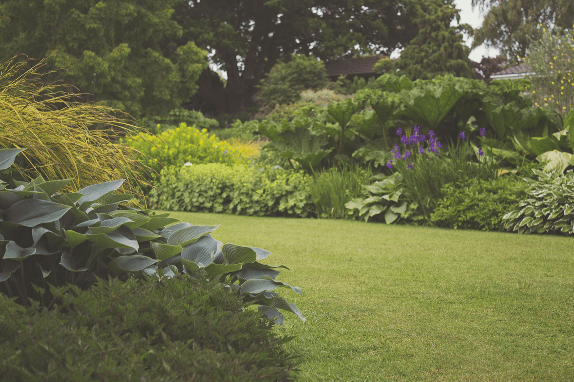 garden with lawn and plants