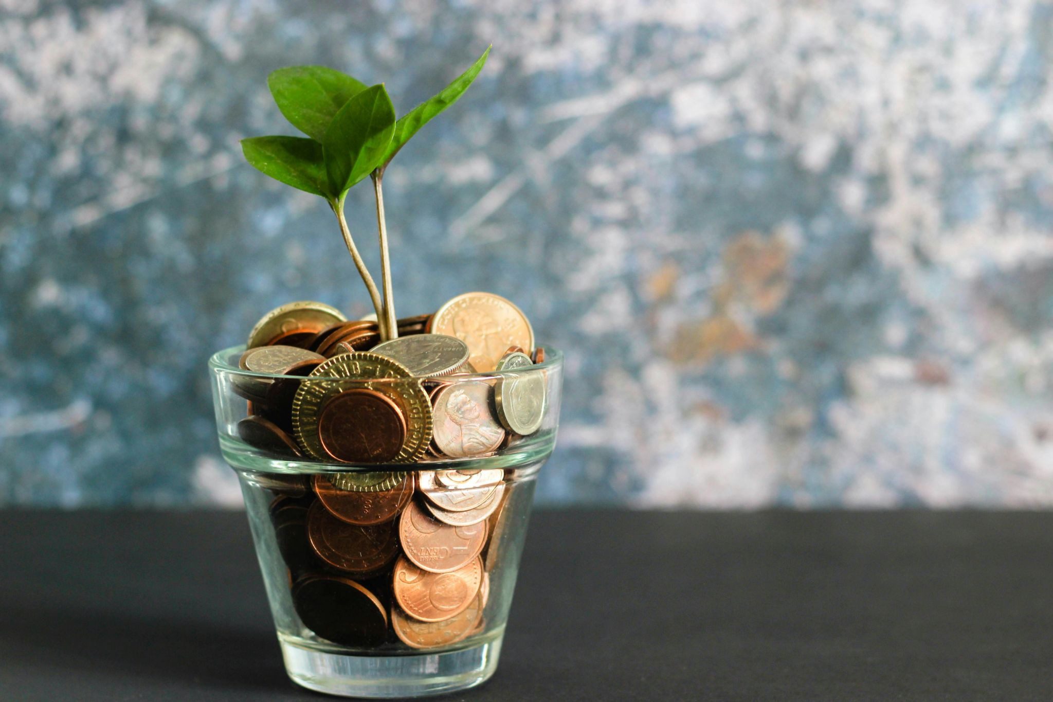 coins in a glass with a green plant coming out of it