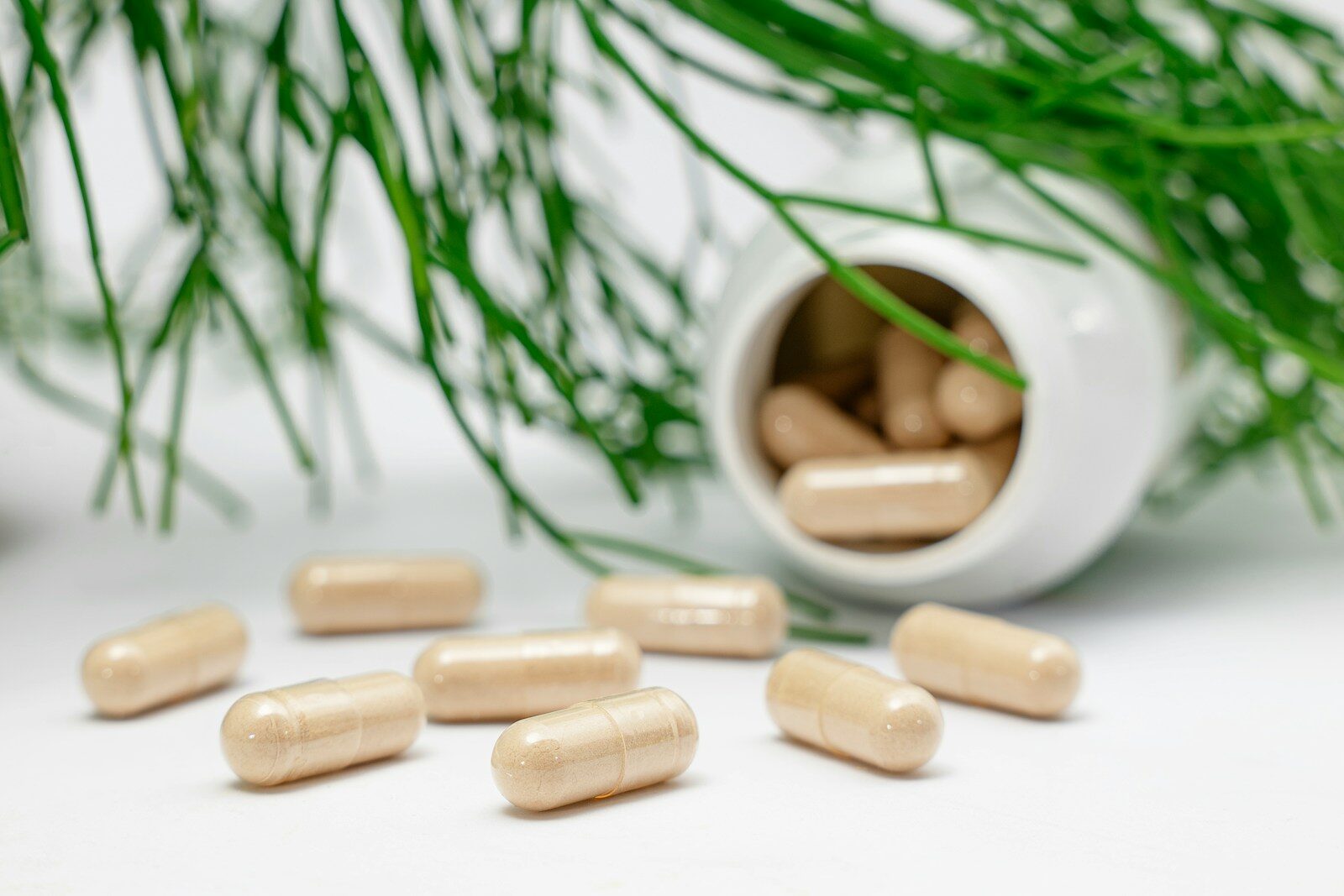 some tablets spilling out of a container on its side, next to a plant
