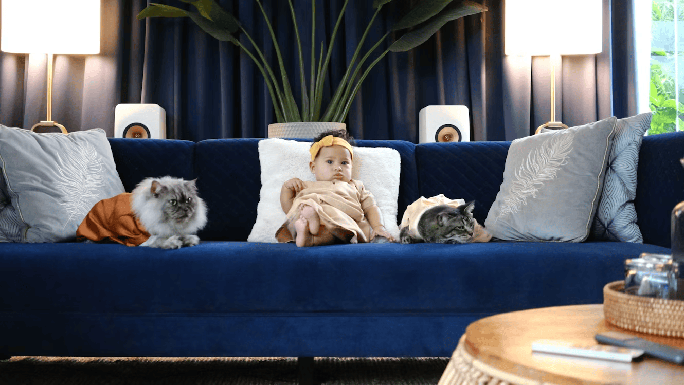 baby on sofa next to two cats