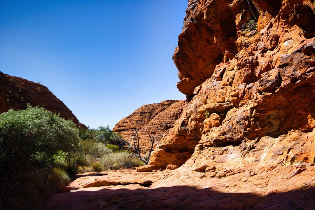 orange rocks and greenery