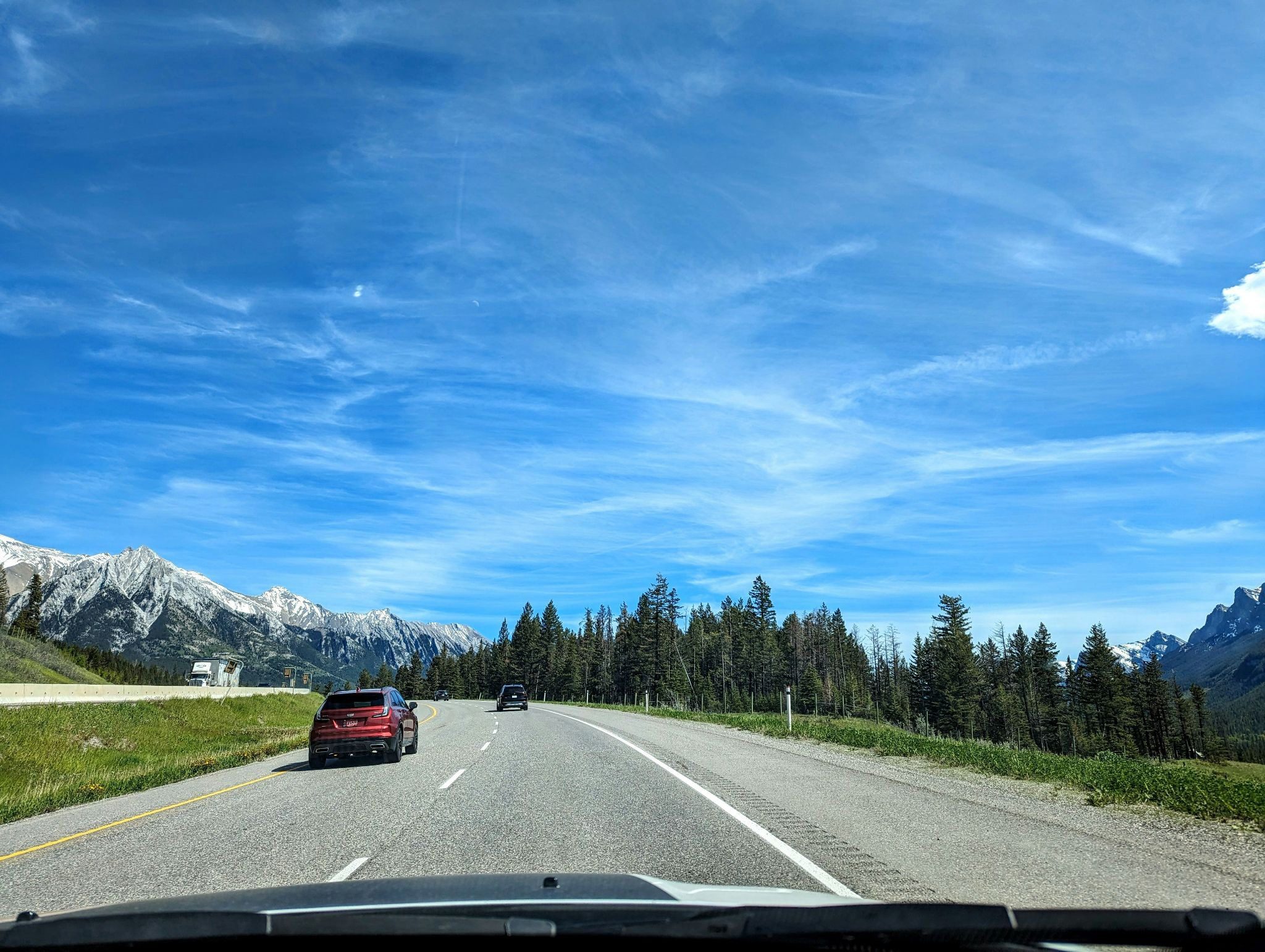 cars driving on road with mountains and big trees in the distance