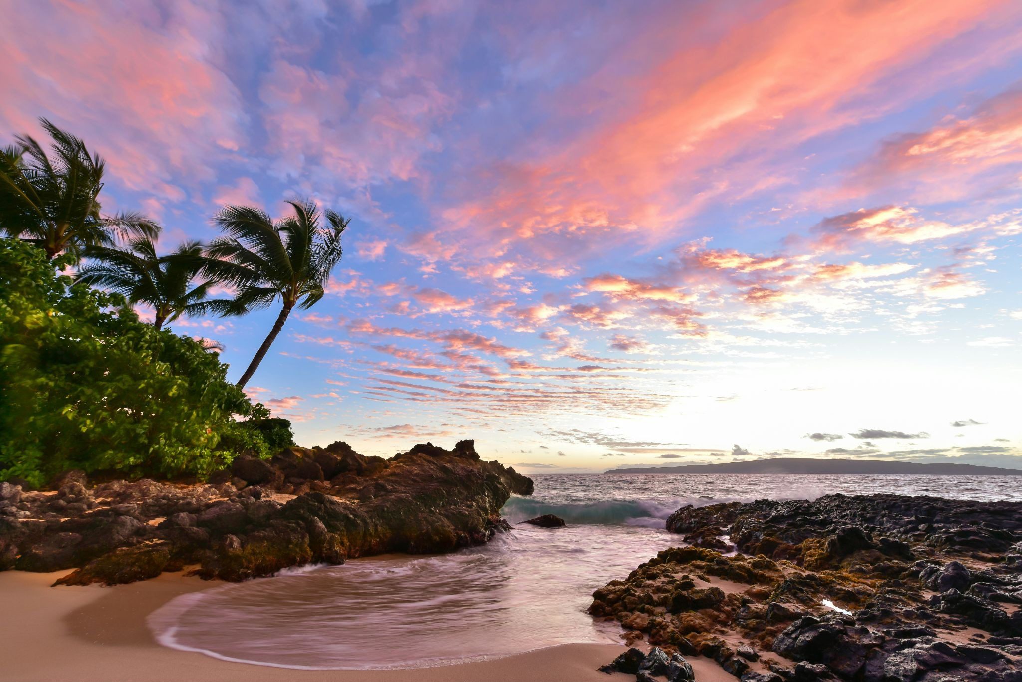 beach and sea with rocks and palm trees